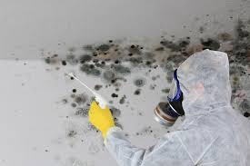 Professional Mold Removal in Arthurdale, WV